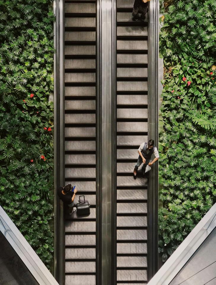 Aerial view of two escalators with plants on either side